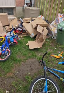 backyard debris